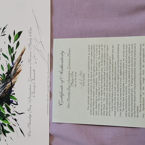 One Standup Guy Louisana Heron Limited Edition Print - Picture 2 of 2